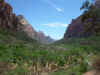 18_Zion_im_Canyon.jpg (199110 Byte)