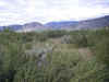 31Desert.jpg (302553 Byte)