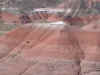 51_Painted_1.jpg (204267 Byte)