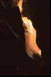 USA_1996_CS4_Antelope_092.jpg (33488 Byte)